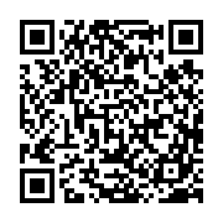 QR code for MP0667