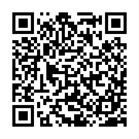 QR code for MP2207