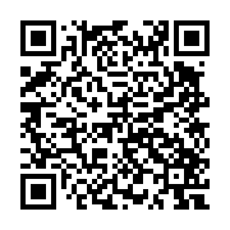 QR code for MP3447