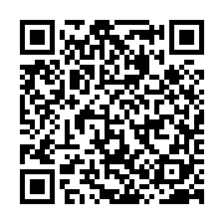 QR code for MP3868
