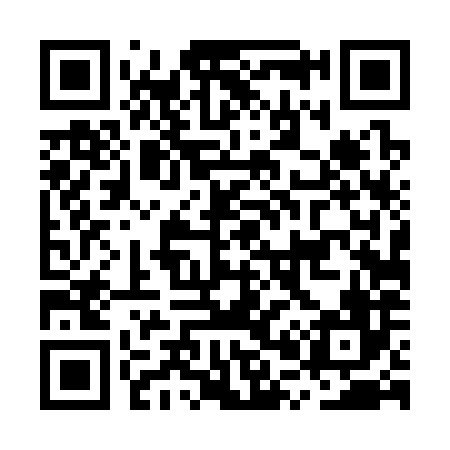 QR code for MP4386