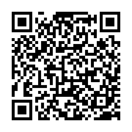 QR code for MP6383
