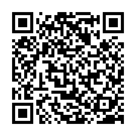 QR code for MP6829
