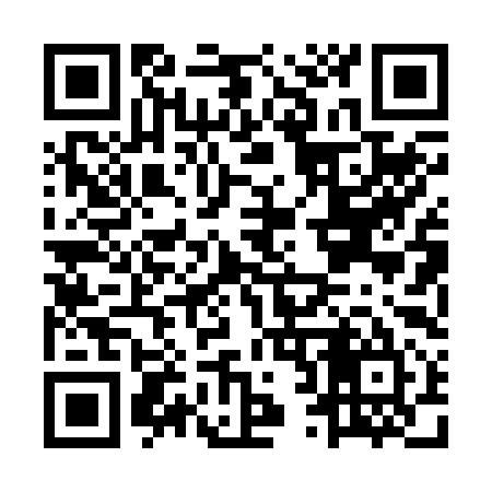 QR code for MR0295
