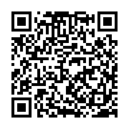 QR code for MR2333