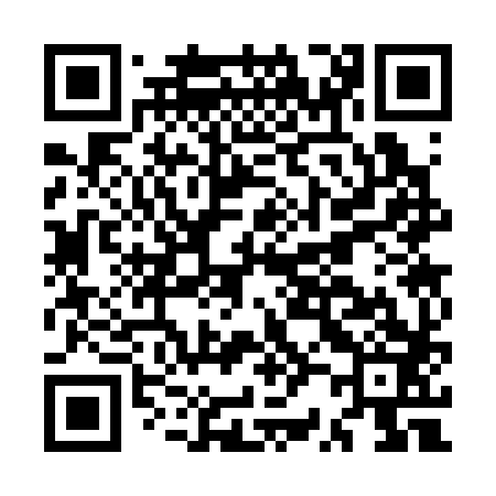 QR code for MR3383