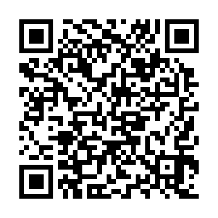 QR code for MS0313