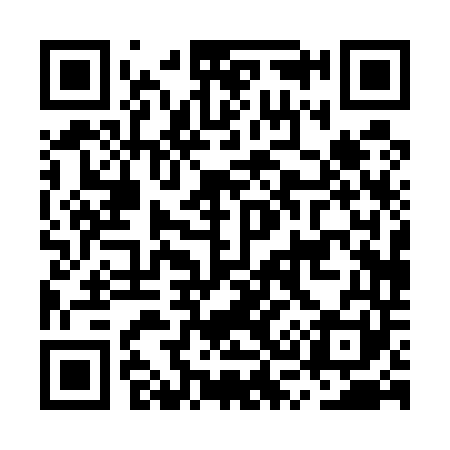 QR code for MS0541