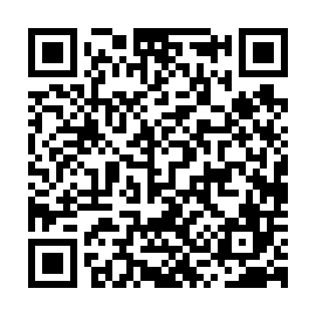 QR code for MS0606