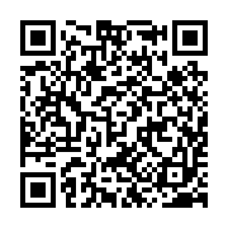QR code for MS1293
