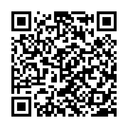 QR code for MS4038