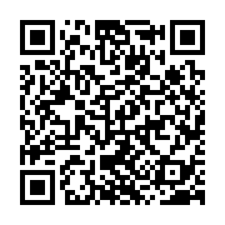 QR code for MS6339