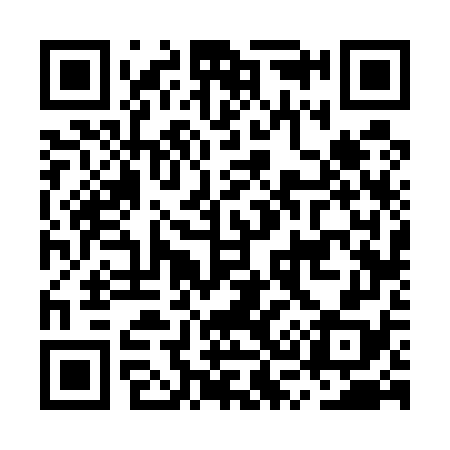 QR code for MS6578