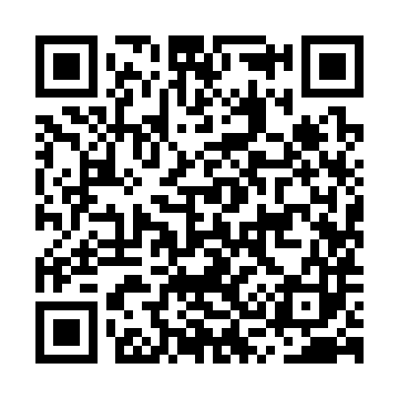 QR code for MS9383