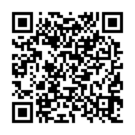 QR code for MT3313