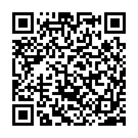 QR code for MV1313