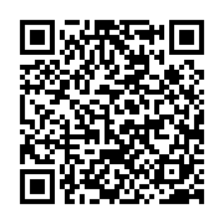 QR code for MV4161
