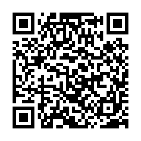 QR code for MV6297
