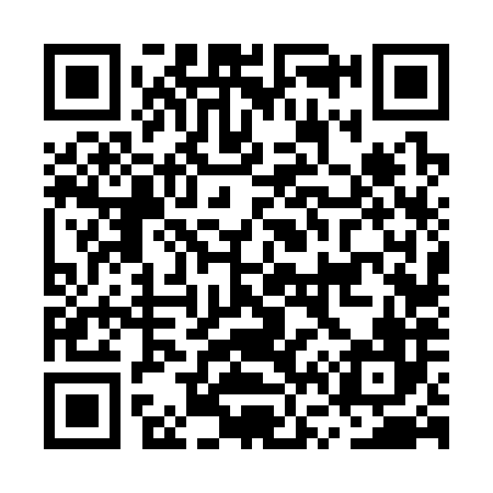 QR code for MV6386