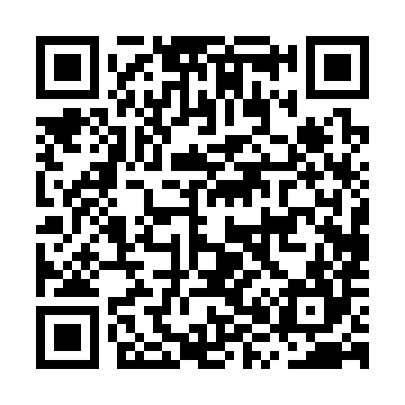 QR code for MX0384