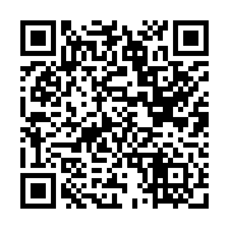 QR code for MX2941