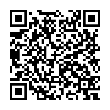 QR code for NA3933