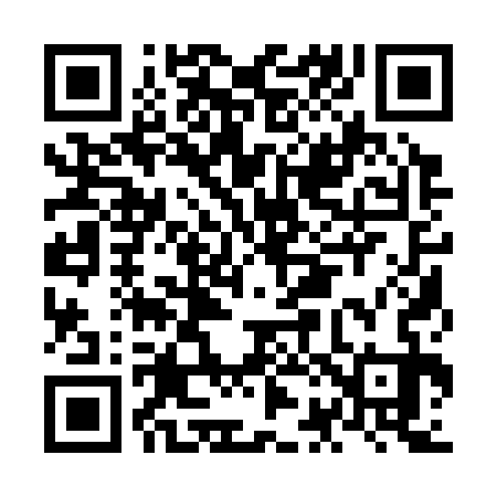 QR code for NB1333