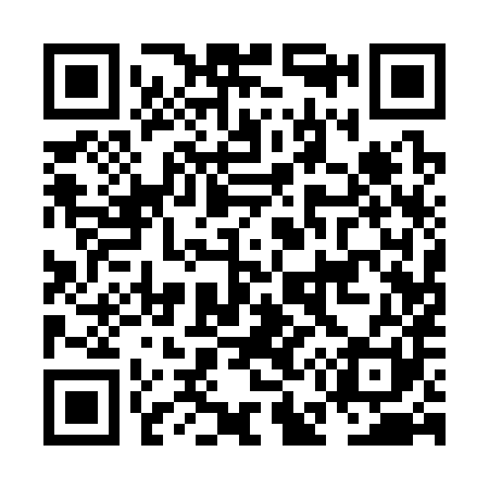 QR code for NE1381