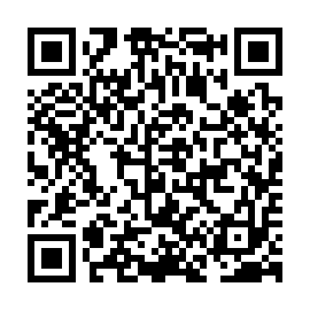 QR code for NF3313