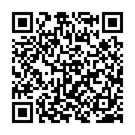 QR code for NF4333
