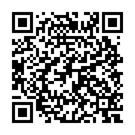 QR code for NI0313