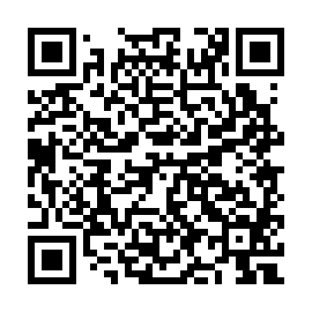 QR code for NI0384