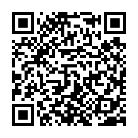 QR code for NI2638