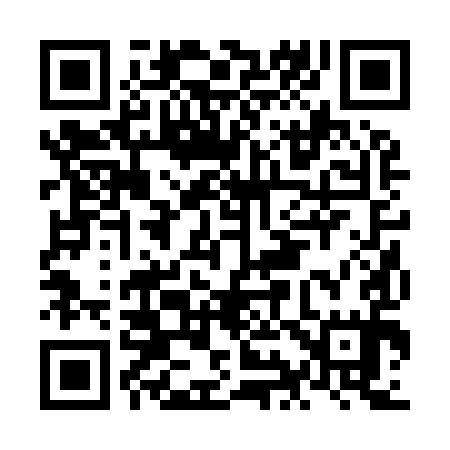 QR code for NI2995