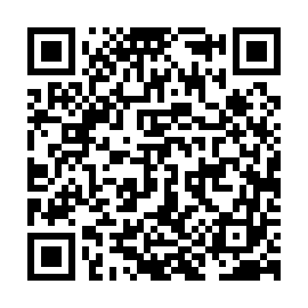 QR code for NI4163