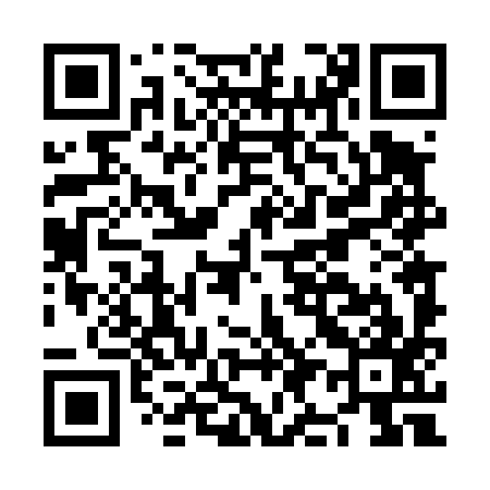 QR code for NI4497