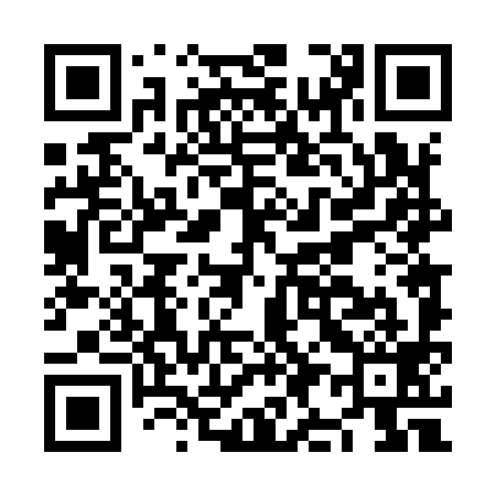 QR code for NI4999
