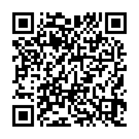 QR code for NI9933