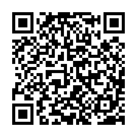 QR code for NK0595