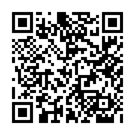 QR code for NK0690