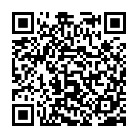 QR code for NL9955