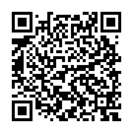 QR code for NM0398