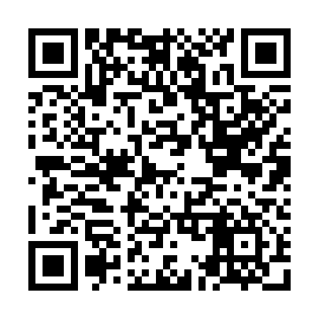 QR code for NM2317