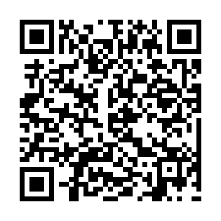 QR code for NM2383