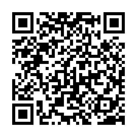 QR code for NM2838