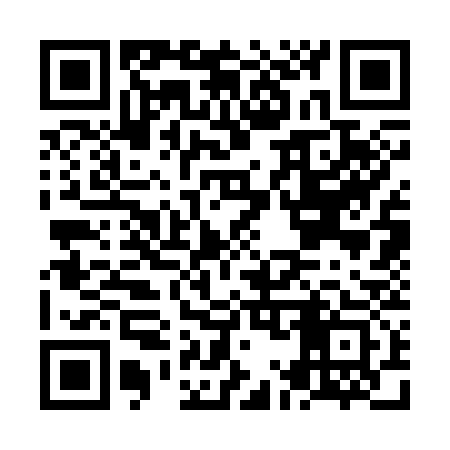 QR code for NM3333
