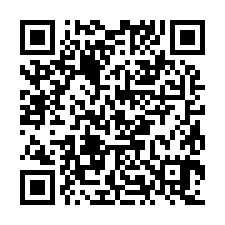 QR code for NM3985