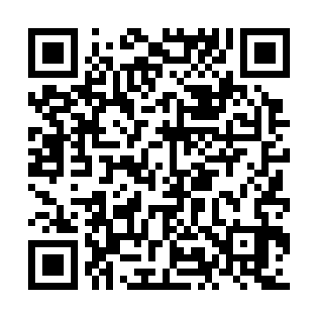 QR code for NM4333