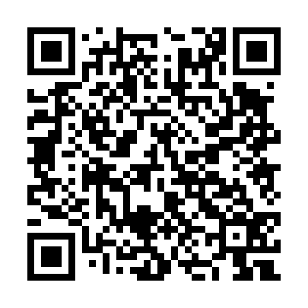 QR code for NN0436