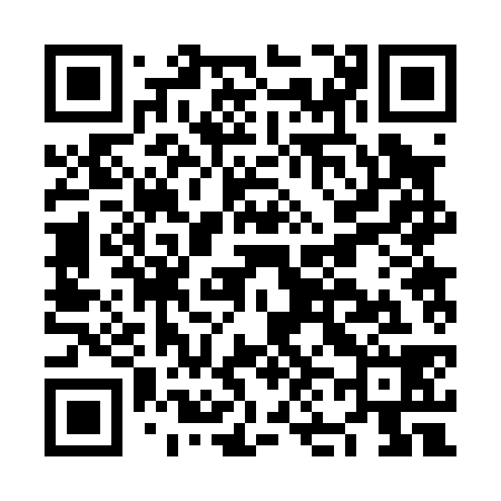 QR code for NN2038